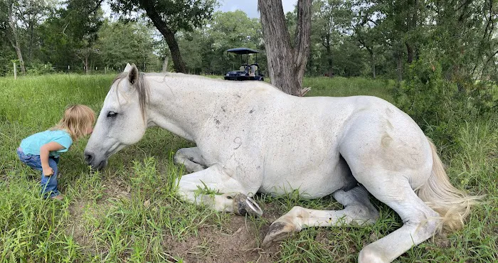 White Horse Ranch and Camping Picture 5