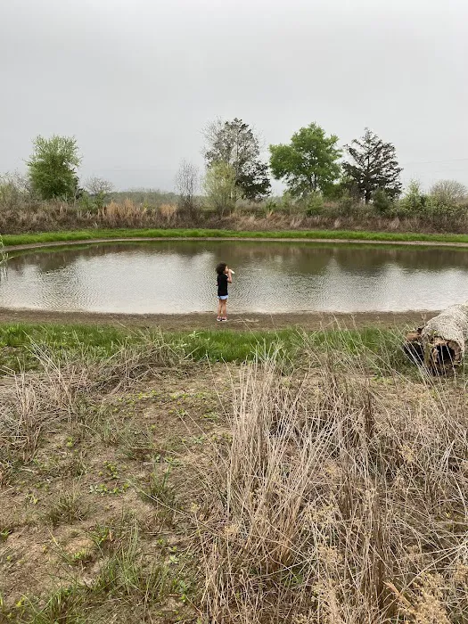 White Horse Ranch and Camping Picture 10