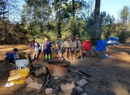 Cub World
