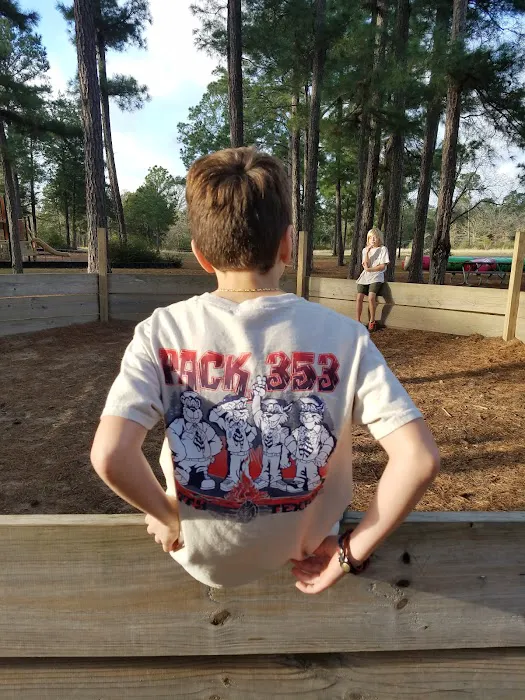 Cub World Picture 4