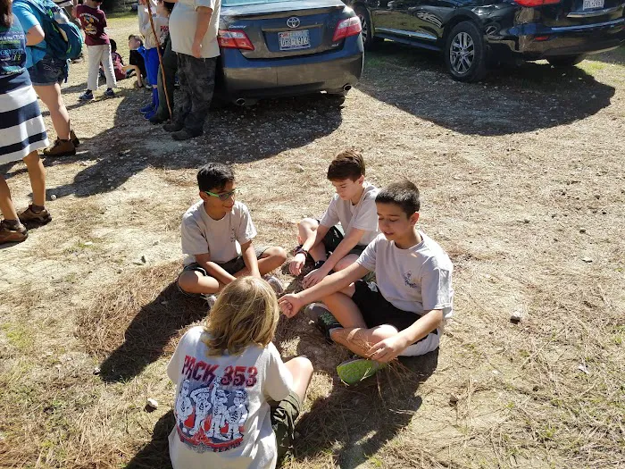 Cub World Picture 5