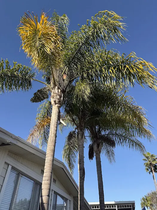 El Toro Mobile Estates Picture 2