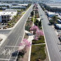 La Corona Mobile Home Park ico