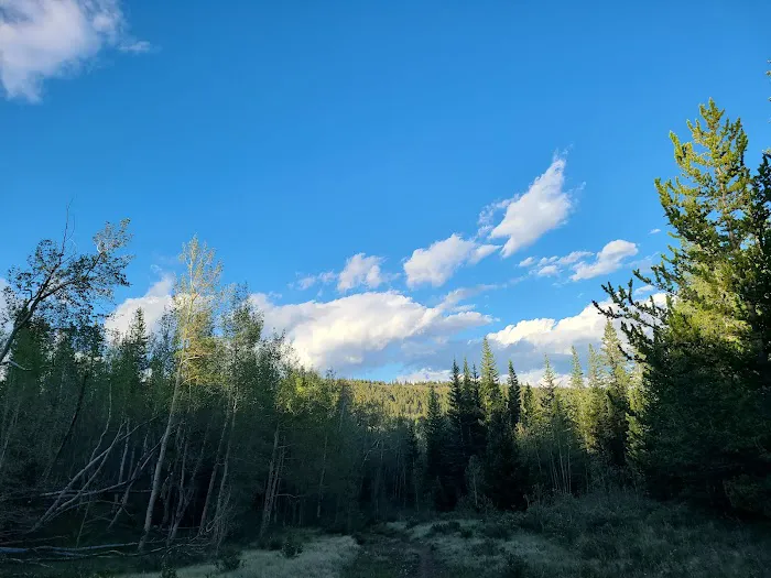 Horseshoe Campground Picture 4