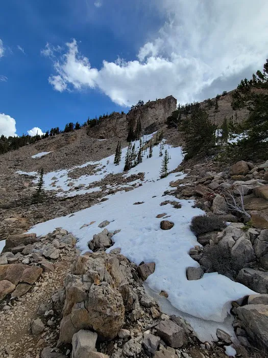 Horseshoe Campground Picture 6