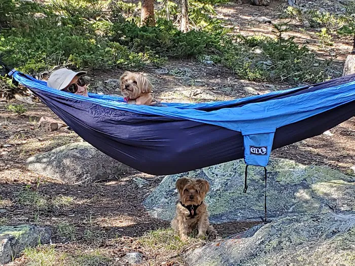Fourmile Campground Picture 6
