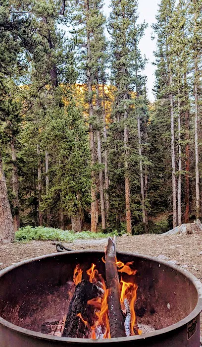 Fourmile Campground Picture 9