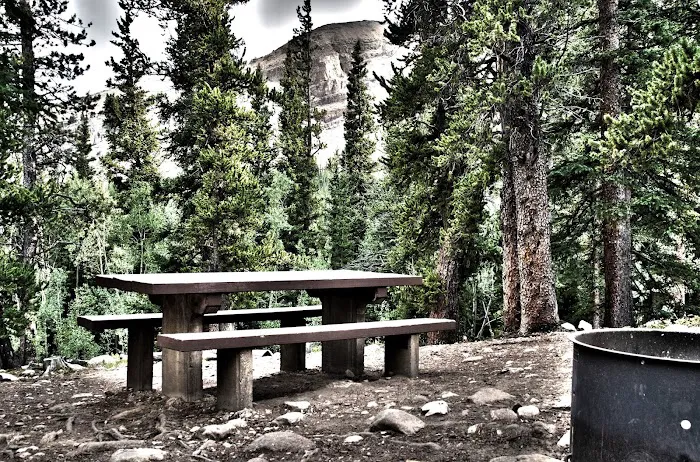 Fourmile Campground Picture 10