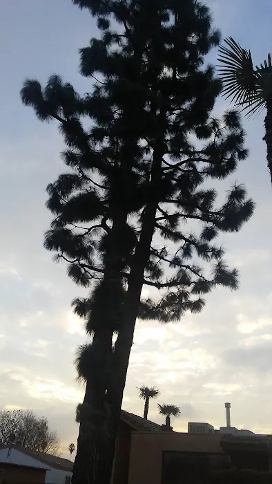 Sierra Pines Mobile Home Park Picture 8