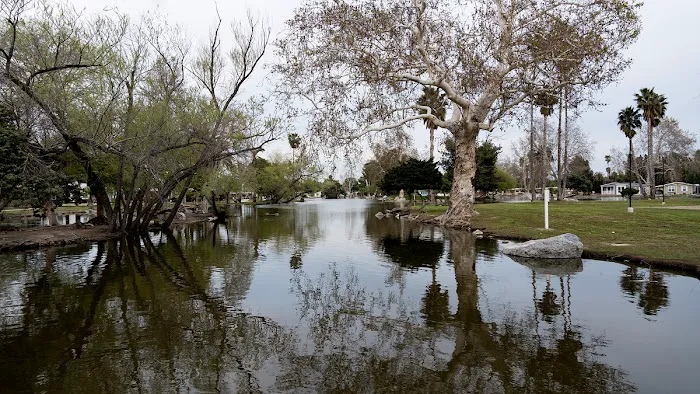 Swan Lake Mobile Home Park Picture 2