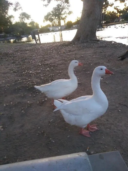 Swan Lake Mobile Home Park Picture 7