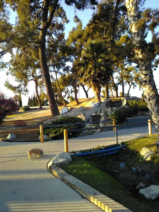 Swan Lake Mobile Home Park Picture 9