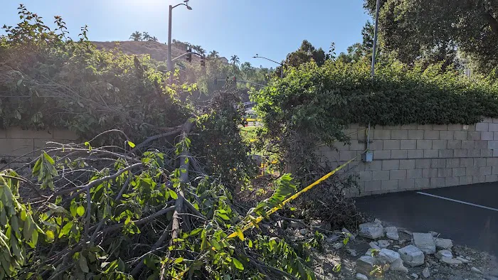 Villa Magnolia Senior Mobile Home Park Picture 8