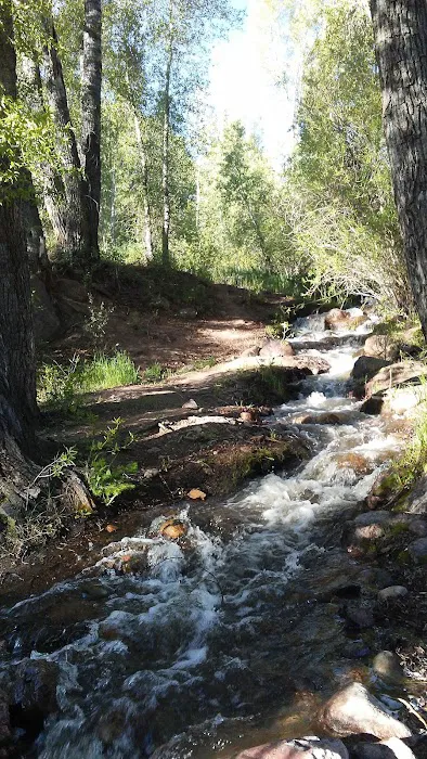 Elliot Creek Campground Picture 9
