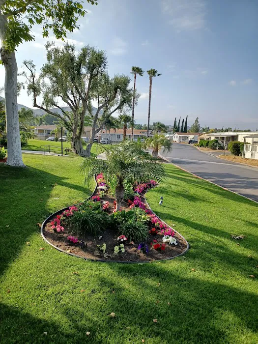 Riverside Meadows Mobile Home Picture 6