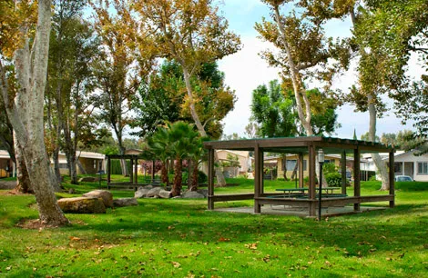 Riverside Meadows Mobile Home Picture 7