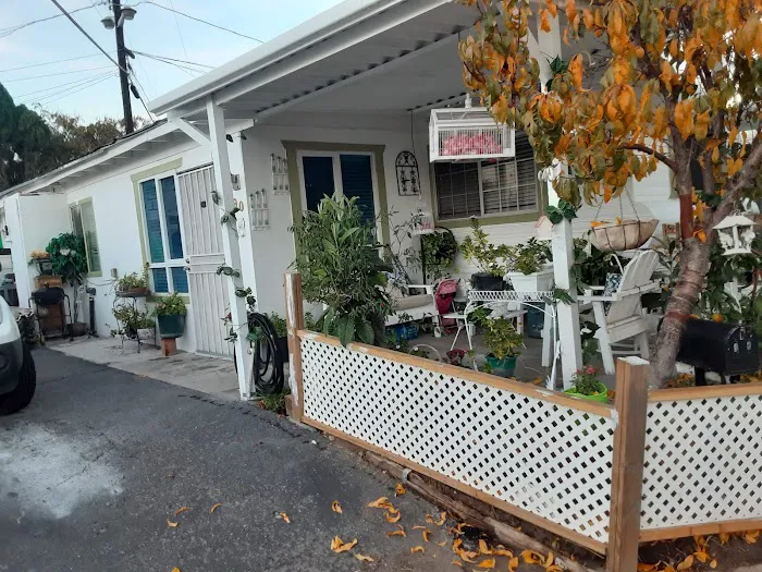 Palm Terrace Mobile Village Picture 5
