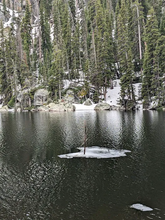 Lake Verna Campsite Picture 3