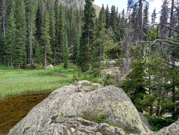 Slickrock Picture 5