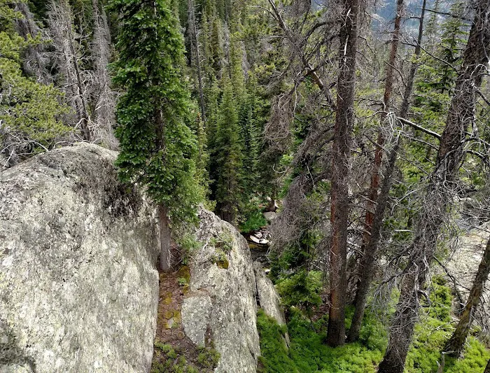 Slickrock Picture 9