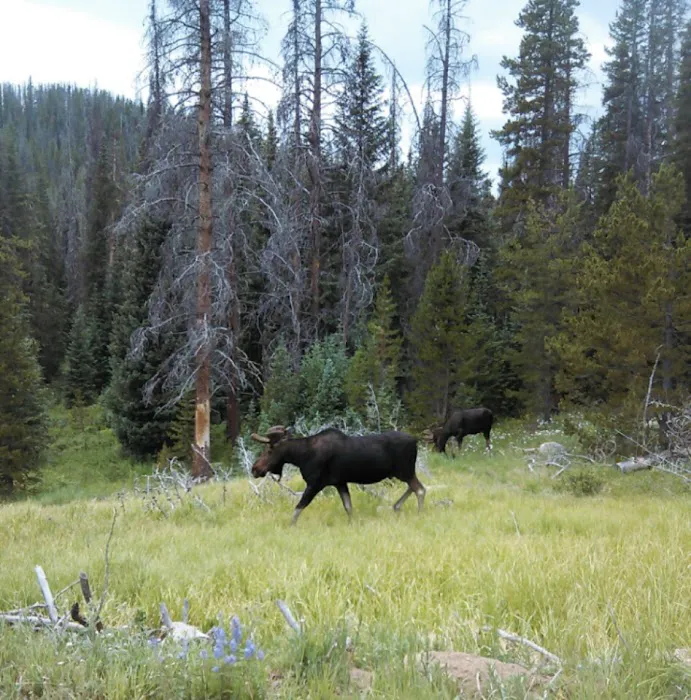 Stillwater Pass Picture 4