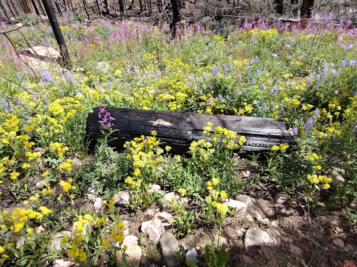 Stillwater Pass Picture 9