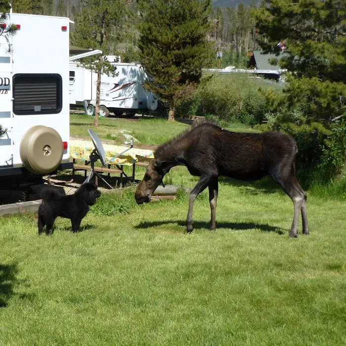 Grand Lake / Rocky Mountain National Park KOA Journey Picture 3