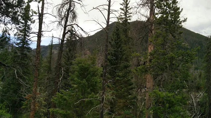 Summerland Park Picture 3