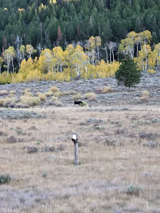 Pumphouse Campground Picture 10