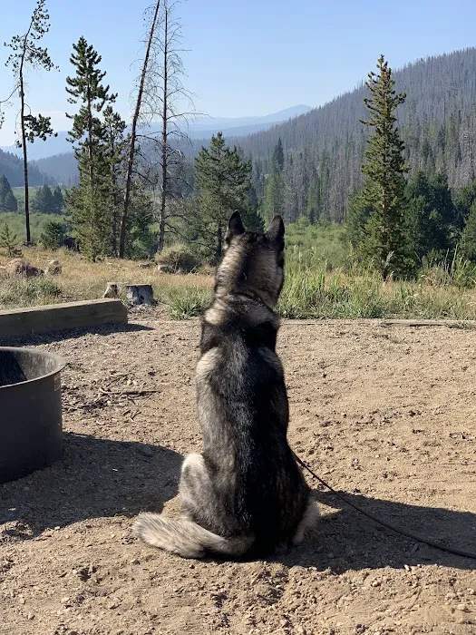 Denver Creek Campground Picture 1
