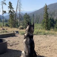 Denver Creek Campground ico