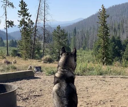 Denver Creek Campground