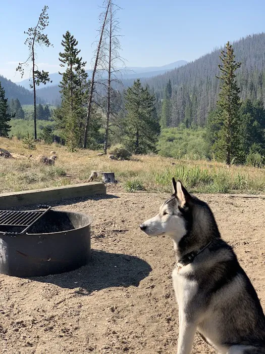 Denver Creek Campground Picture 3