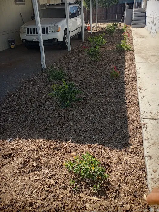 Upland Cascade Mobile Home Park Picture 2