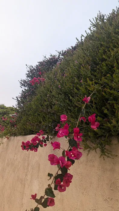 Hollywood Beach Seaside Mobile Home Park Picture 5
