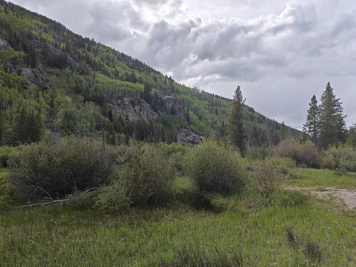 Hornsilver Campground Picture 1
