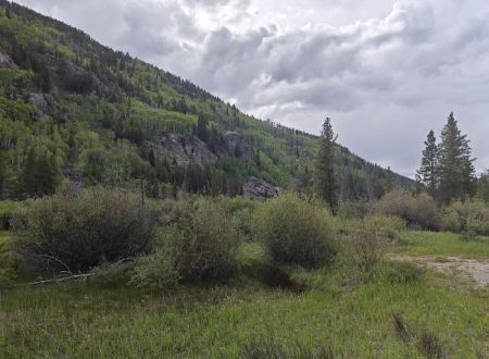 Hornsilver Campground