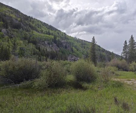 Hornsilver Campground