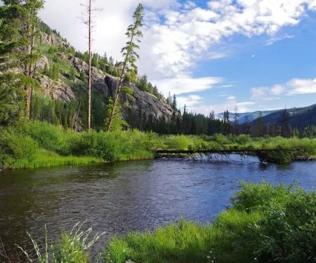 Blodgett Campground