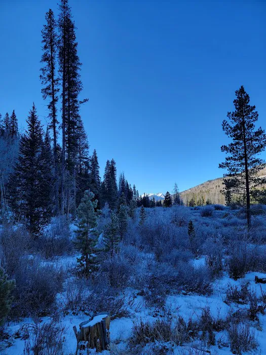Blodgett Campground Picture 6