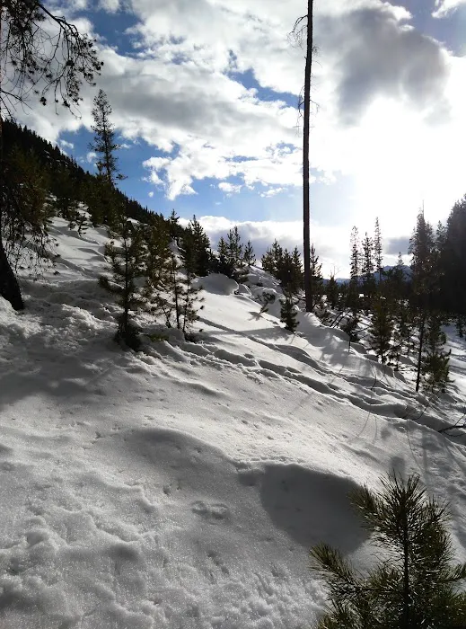 Blodgett Campground Picture 8