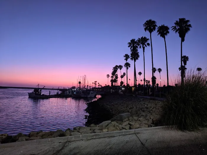 Ventura Marina Mobile Home Pk Picture 3
