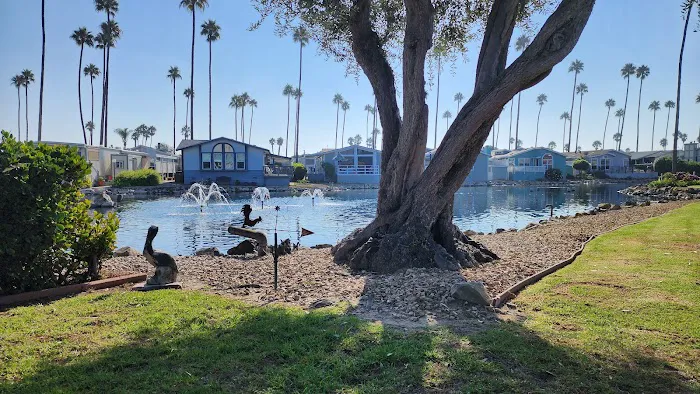 Ventura Marina Mobile Home Pk Picture 6