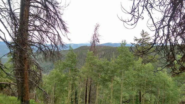 Halfmoon Campground Picture 1