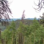 Halfmoon Campground