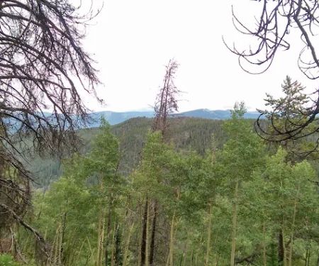 Halfmoon Campground