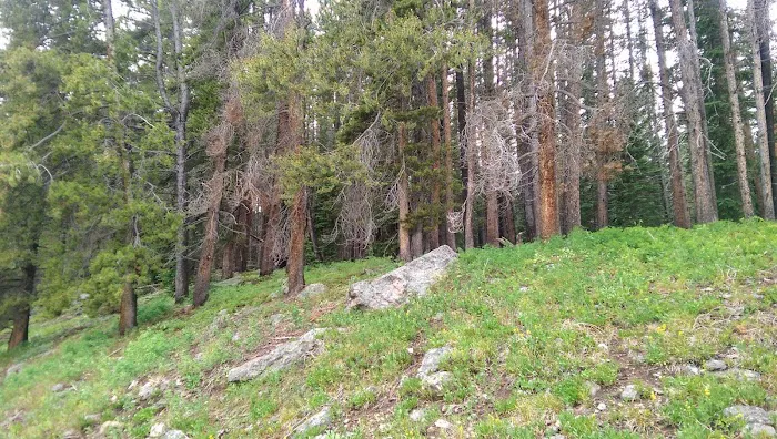 Halfmoon Campground Picture 4