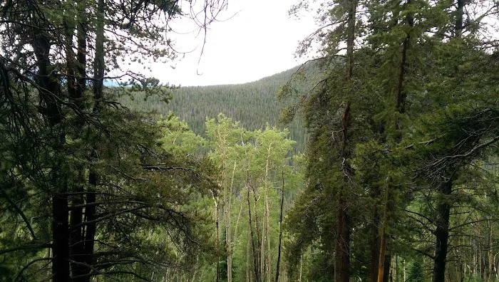 Halfmoon Campground Picture 8
