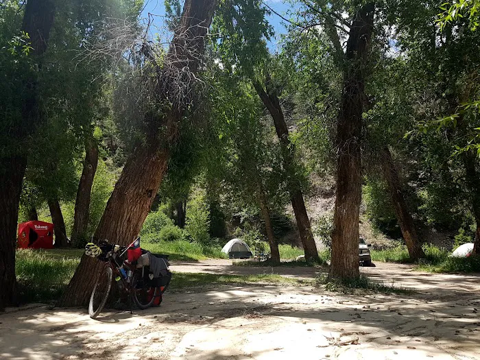Mugrage Campground, Colorado Picture 3