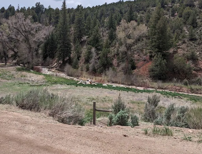 Mugrage Campground, Colorado Picture 1